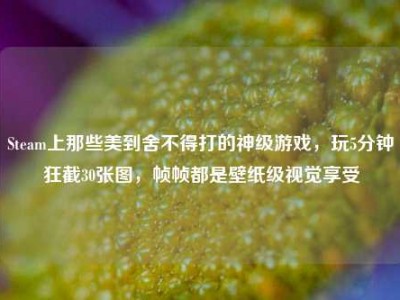 Steam上那些美到舍不得打的神级游戏，玩5分钟狂截30张图，帧帧都是壁纸级视觉享受