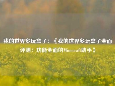 我的世界多玩盒子：《我的世界多玩盒子全面评测：功能全面的Minecraft助手》