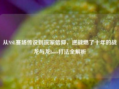 从NSL赛场传说到玩家信仰，逆战燃了十年的战龙与龙boss打法全解析