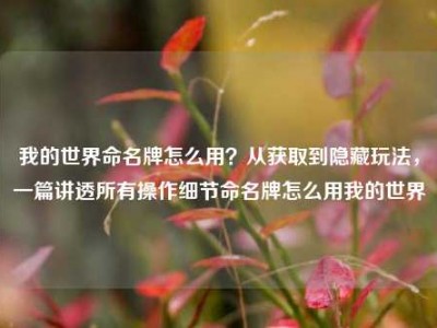 我的世界命名牌怎么用？从获取到隐藏玩法，一篇讲透所有操作细节命名牌怎么用我的世界