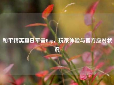 和平精英夏日军需Bug，玩家体验与官方应对状况