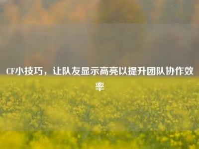 CF小技巧，让队友显示高亮以提升团队协作效率