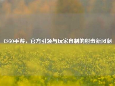 CSGO手游，官方引领与玩家自制的射击新风潮
