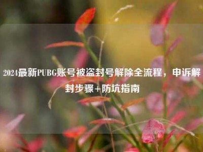 2024最新PUBG账号被盗封号解除全流程，申诉解封步骤+防坑指南