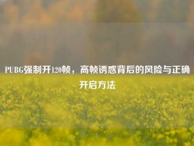 PUBG强制开120帧，高帧诱惑背后的风险与正确开启方法