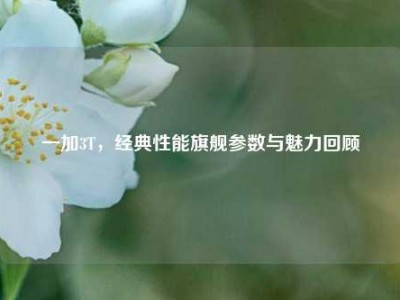 一加3T，经典性能旗舰参数与魅力回顾