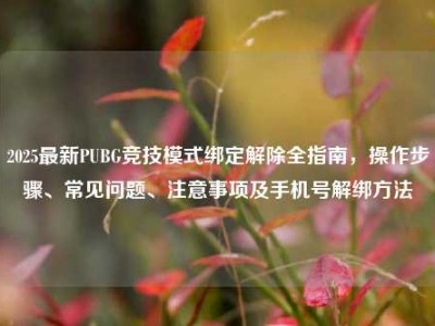 2025最新PUBG竞技模式绑定解除全指南，操作步骤、常见问题、注意事项及手机号解绑方法