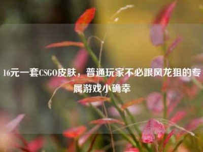 16元一套CSGO皮肤，普通玩家不必跟风龙狙的专属游戏小确幸