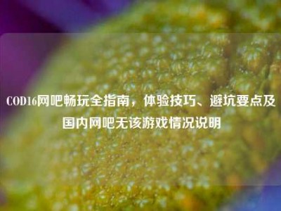 COD16网吧畅玩全指南，体验技巧、避坑要点及国内网吧无该游戏情况说明