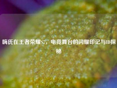 嗨氏在王者荣耀S7，电竞舞台的闪耀印记与ID探秘