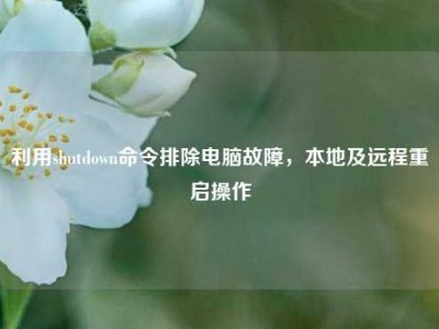 利用shutdown命令排除电脑故障，本地及远程重启操作