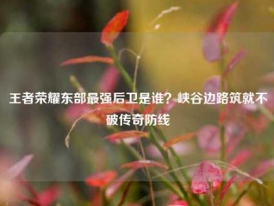 王者荣耀东部最强后卫是谁？峡谷边路筑就不破传奇防线