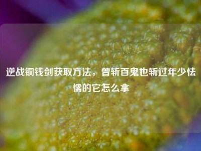 逆战铜钱剑获取方法，曾斩百鬼也斩过年少怯懦的它怎么拿