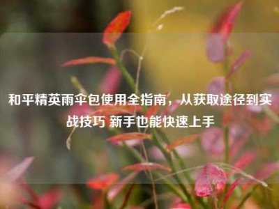 和平精英雨伞包使用全指南，从获取途径到实战技巧 新手也能快速上手
