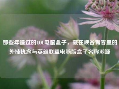 那些年追过的LOL电脑盒子，藏在峡谷青春里的外挂执念与英雄联盟电脑版盒子名称溯源