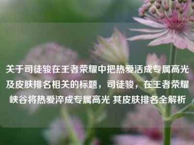 关于司徒骏在王者荣耀中把热爱活成专属高光及皮肤排名相关的标题，司徒骏，在王者荣耀峡谷将热爱淬成专属高光 其皮肤排名全解析