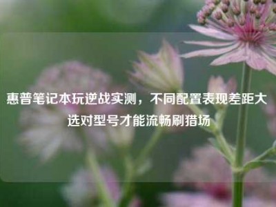 惠普笔记本玩逆战实测，不同配置表现差距大 选对型号才能流畅刷猎场