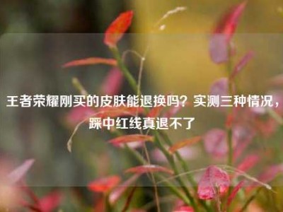 王者荣耀刚买的皮肤能退换吗？实测三种情况，踩中红线真退不了