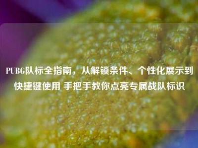PUBG队标全指南，从解锁条件、个性化展示到快捷键使用 手把手教你点亮专属战队标识