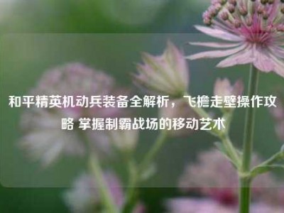 和平精英机动兵装备全解析，飞檐走壁操作攻略 掌握制霸战场的移动艺术