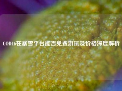 COD16在暴雪平台能否免费游玩及价格深度解析