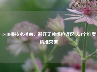 CSGO提技术指南，避开无效练枪误区 从4个维度精准突破