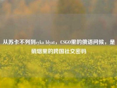 从苏卡不列到cyka blyat，CSGO里的俄语问候，是硝烟里的跨国社交密码