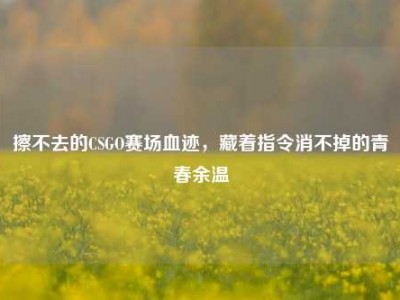 擦不去的CSGO赛场血迹，藏着指令消不掉的青春余温