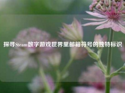 探寻Steam数字游戏世界里邮箱符号的独特标识