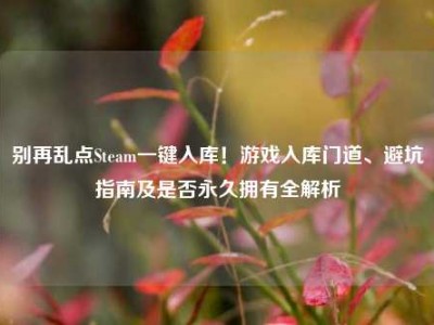 别再乱点Steam一键入库！游戏入库门道、避坑指南及是否永久拥有全解析