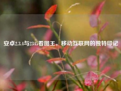 安卓2.3.4与2345看图王，移动互联网的独特印记
