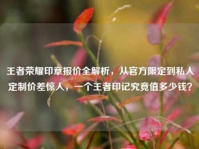 王者荣耀印章报价全解析，从官方限定到私人定制价差惊人，一个王者印记究竟值多少钱？