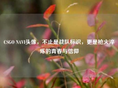 CSGO NAVI头像，不止是战队标识，更是枪火淬炼的青春与信仰