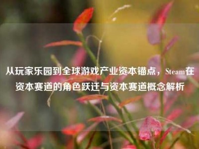 从玩家乐园到全球游戏产业资本锚点，Steam在资本赛道的角色跃迁与资本赛道概念解析
