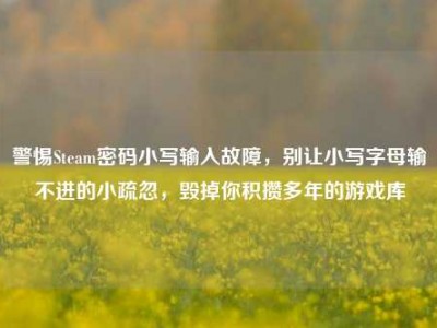 警惕Steam密码小写输入故障，别让小写字母输不进的小疏忽，毁掉你积攒多年的游戏库