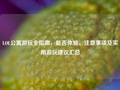 LOL公寓游玩全指南，能否体验、注意事项及实用游玩建议汇总