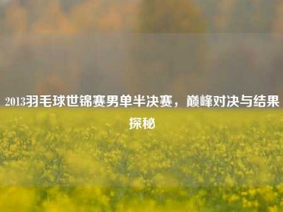 2013羽毛球世锦赛男单半决赛，巅峰对决与结果探秘