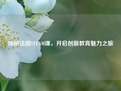 探秘法国STEAM课，开启创新教育魅力之旅
