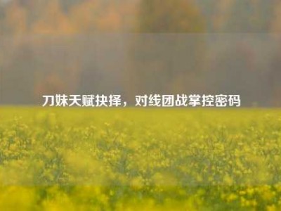 刀妹天赋抉择，对线团战掌控密码