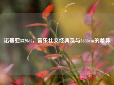 诺基亚5320di，音乐社交经典及与5320xm的差异