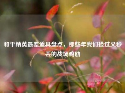 和平精英最差道具盘点，那些年我们捡过又秒丢的战场鸡肋