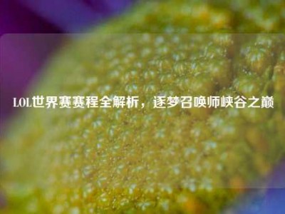LOL世界赛赛程全解析，逐梦召唤师峡谷之巅