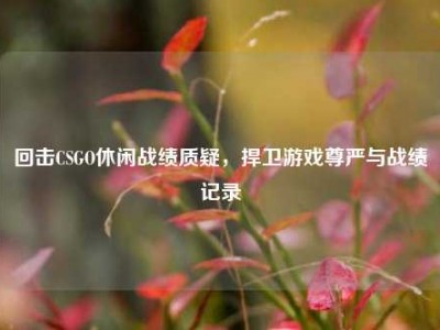 回击CSGO休闲战绩质疑，捍卫游戏尊严与战绩记录