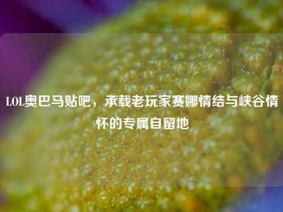 LOL奥巴马贴吧，承载老玩家赛娜情结与峡谷情怀的专属自留地