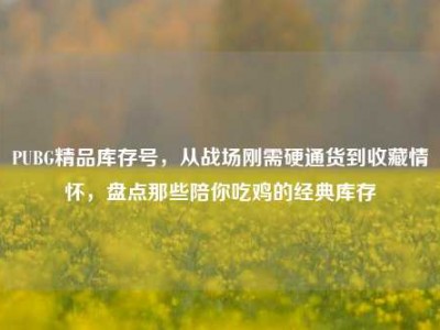 PUBG精品库存号，从战场刚需硬通货到收藏情怀，盘点那些陪你吃鸡的经典库存