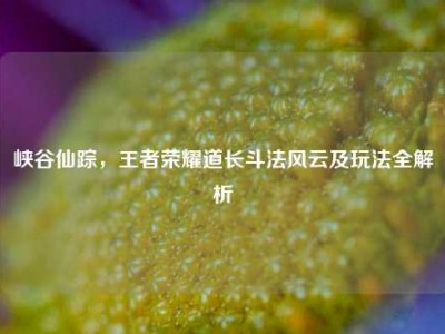 峡谷仙踪，王者荣耀道长斗法风云及玩法全解析