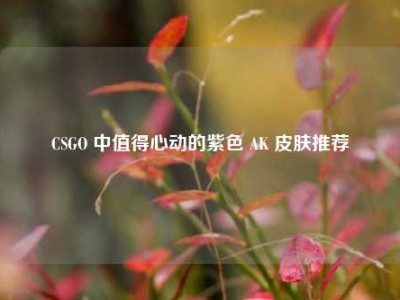 CSGO 中值得心动的紫色 AK 皮肤推荐