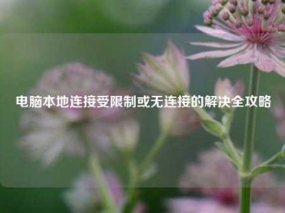 电脑本地连接受限制或无连接的解决全攻略