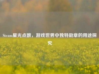 Steam星光点数，游戏世界中独特勋章的用途探究