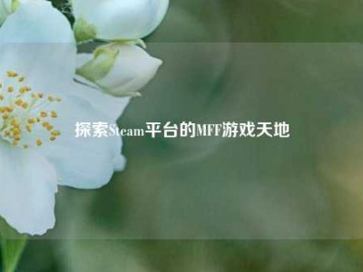 探索Steam平台的MFF游戏天地